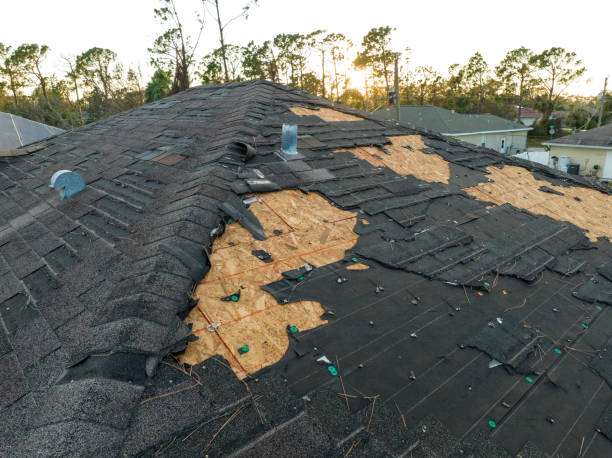 Best Wood Shake Roofing  in Greybull, WY